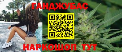 сатива Лесосибирск