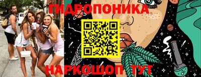 сатива Лесосибирск