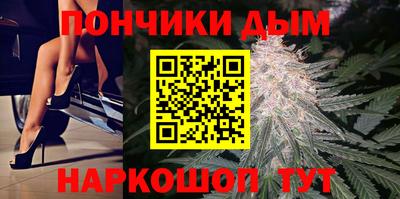 сатива Лесосибирск