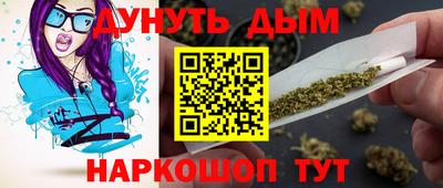 сатива Лесосибирск